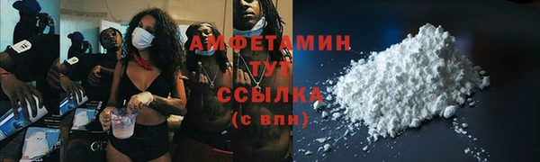 стаф Алзамай