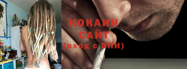 стаф Алзамай