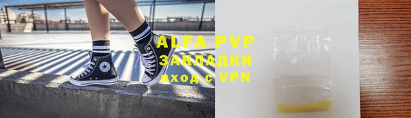 стаф Алзамай