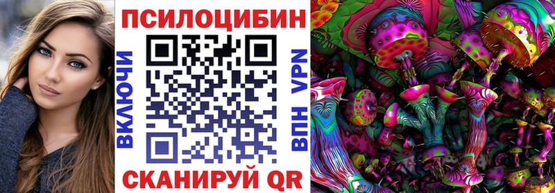 Псилоцибиновые грибы Psilocybine cubensis Багратионовск